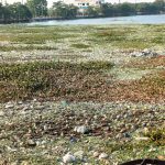 रायपुर के ऐतिहासिक महाराजबंध तालाब की दयनीय स्थिति, प्रशासनिक लापरवाही और पुनर्जीवन की आवश्यकता।